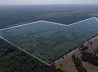 0 County Road 320, Big Creek, MS 38914