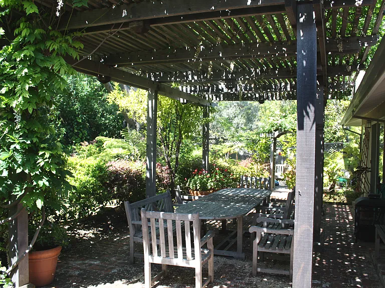 Back yard patio with trellis