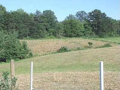 Pasture and woods, east side