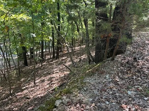 LOT #32 Elm Ave, Rogers, AR 72732