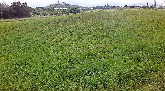 5th image of Old Mamalahoa Hwy Lot 7-A
