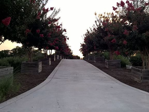 Driveway from the street