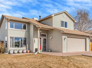 256 Sargent Cir, Fruita, CO 81521