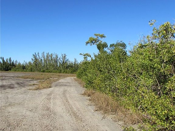 4th image of 13686 Ficus Tree Ln