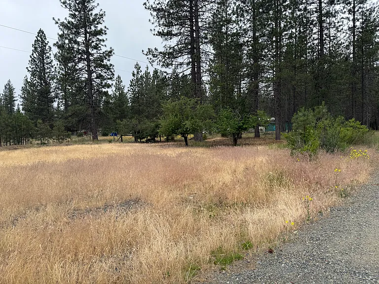 13536 Quartz Valley Rd — Photo 48