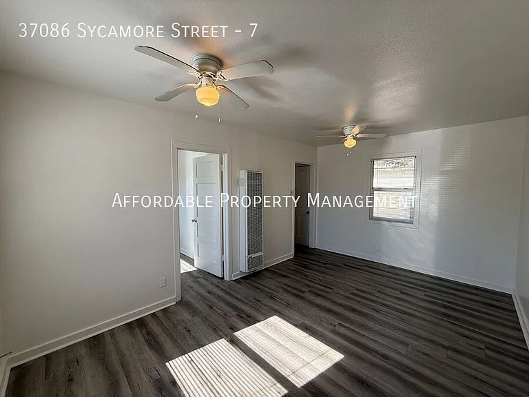 37086 Sycamore St #7 — Photo 3