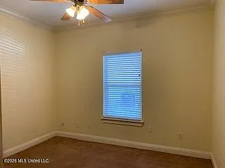 1334 Tropical Cv — Photo 6
