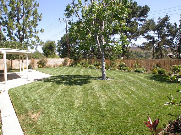 Rear Yard