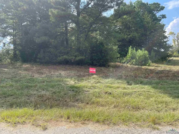42 County Road 2204d & Dm #1797, Tatum, TX 75691