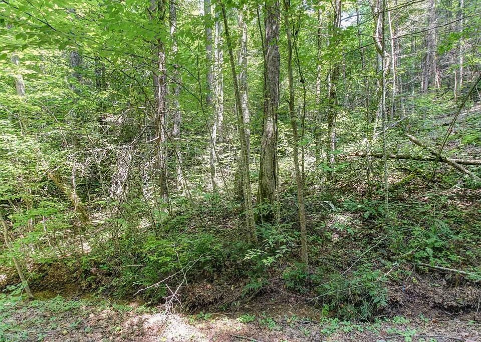 1st image of 56 Riversong Way Lot 56