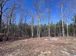 320 Willow Ln #0, Hayden, AL 35079