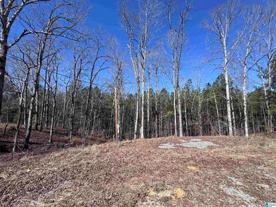 320 Willow Ln #0, Hayden, AL, 35079