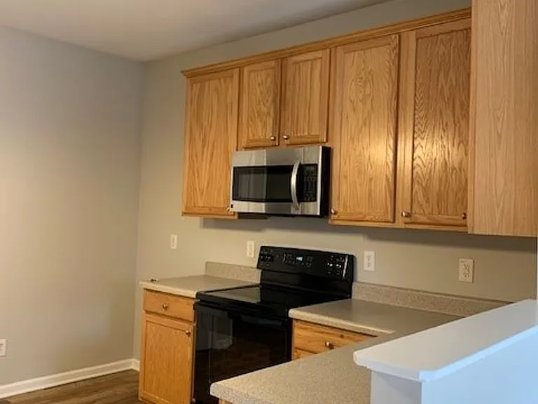 213 Carolina Town Ln — Photo 6