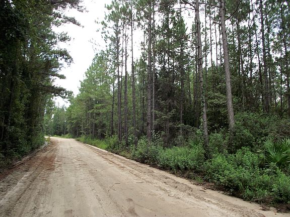 Looking S. on Doc Rider Rd. 
