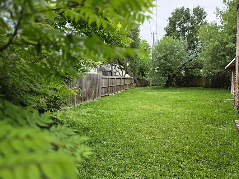 Backyard