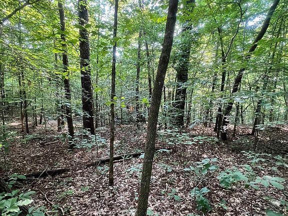 4th image of 0 Andrew Jackson Rd #19