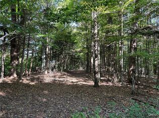 0 Pronevitch Rd #16, Westernville, NY 13486