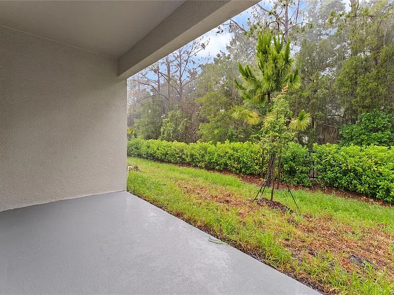 31351 Paper Birch St — Photo 31