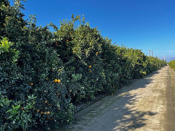 5th image of 124 North Rd