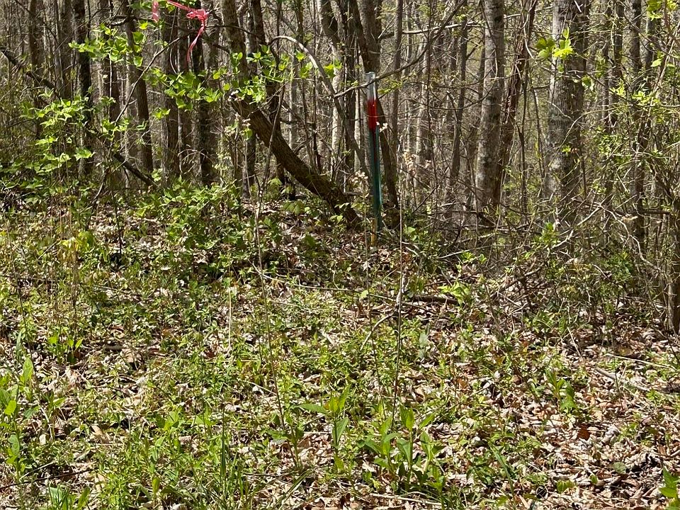1st image of LOT 28 Jones Ridge Rd