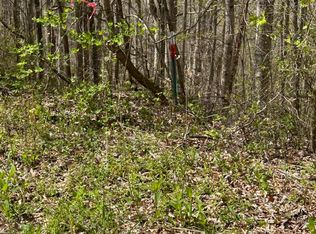 LOT 28 Jones Ridge Rd, Speedwell, TN 37870