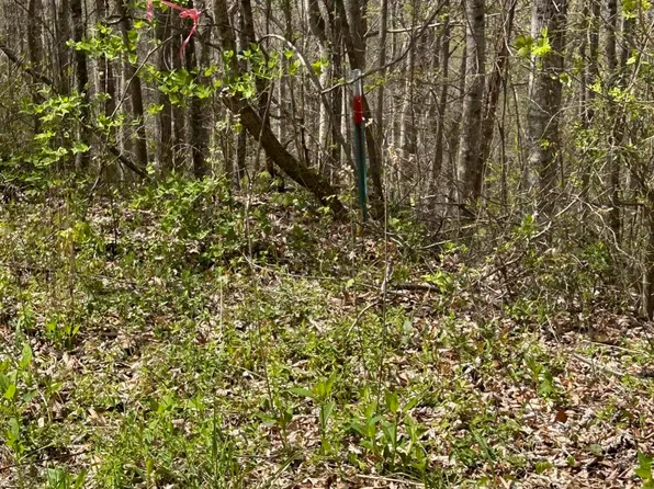 LOT 28 Jones Ridge Rd, Speedwell, TN 37870