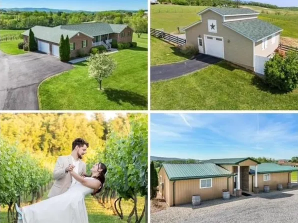 2664 Old Route 100 Rd, Draper, VA 24324