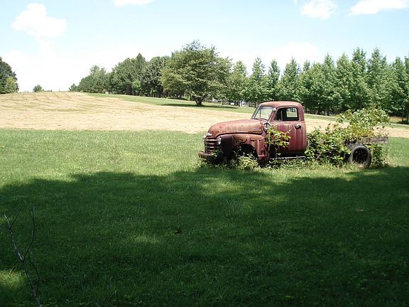 4th image of 4896 Stargazer Ln