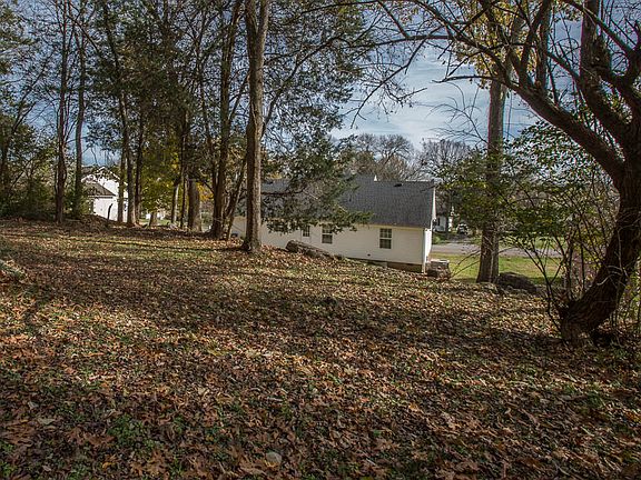 shaded area in the trees