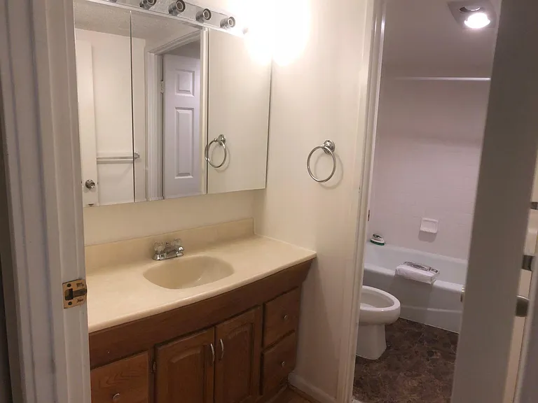 Large bathroom (split design)