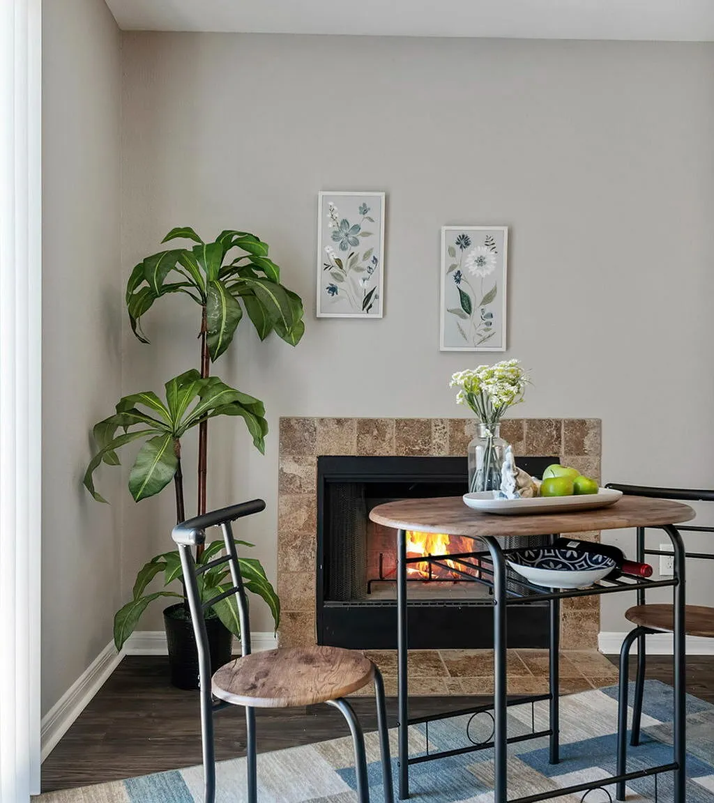 Driscoll Place Apartments — Photo 2