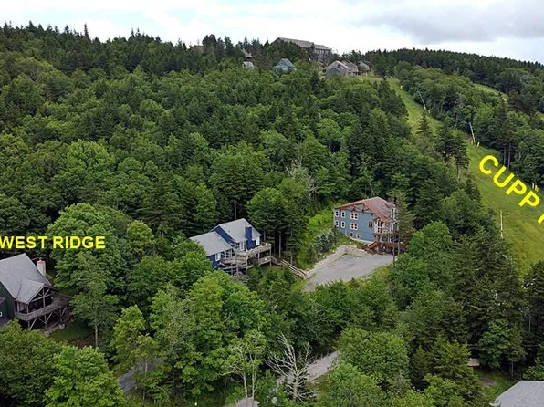 1165 N West Ridge Rd, Snowshoe, WV 26209