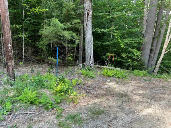 5/3/17 Bell Valley Road, Campton, NH 03223