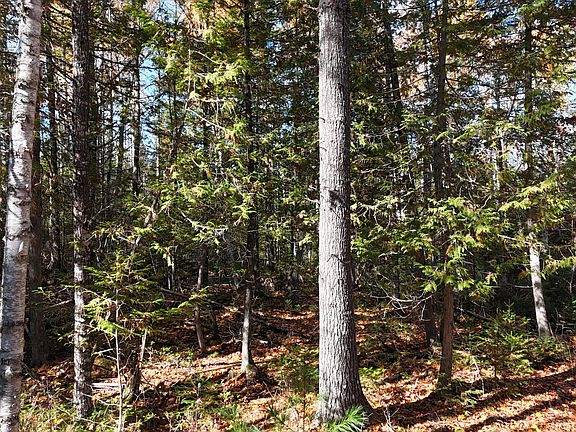 4th image of Lot 49 Lee Road