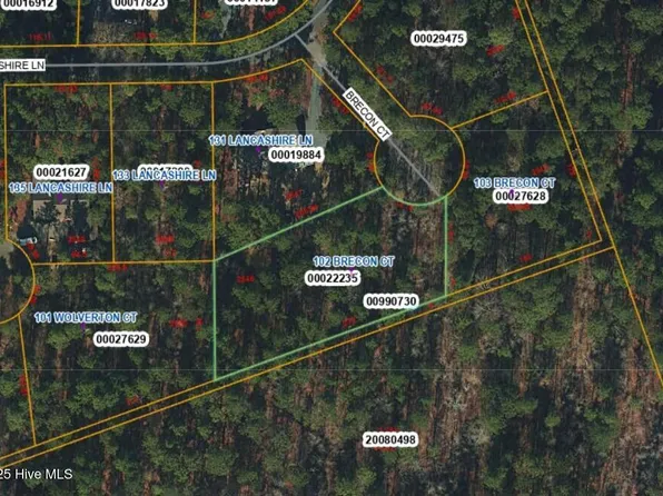 102 Brecon Court, West End, NC 27376