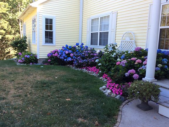 Summer blooms are beautiful!