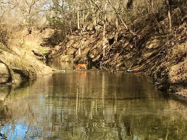 950 County Road 392, Carlton, TX 76436