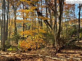 Lower Nettle Knob Rd, West Jefferson, NC 28694