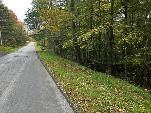 Mary Brown Hill Rd Lot 2, Laurens, NY 13796