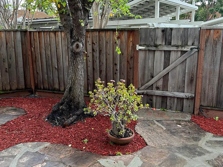 2111 Cuesta Dr — Photo 21