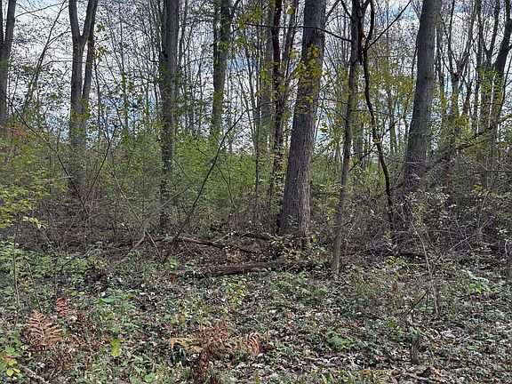 2nd image of Holt Rd
