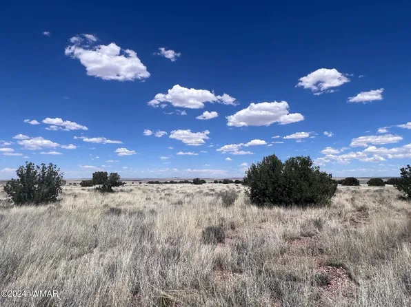 8539 N Terry Trl, Snowflake, AZ 85937