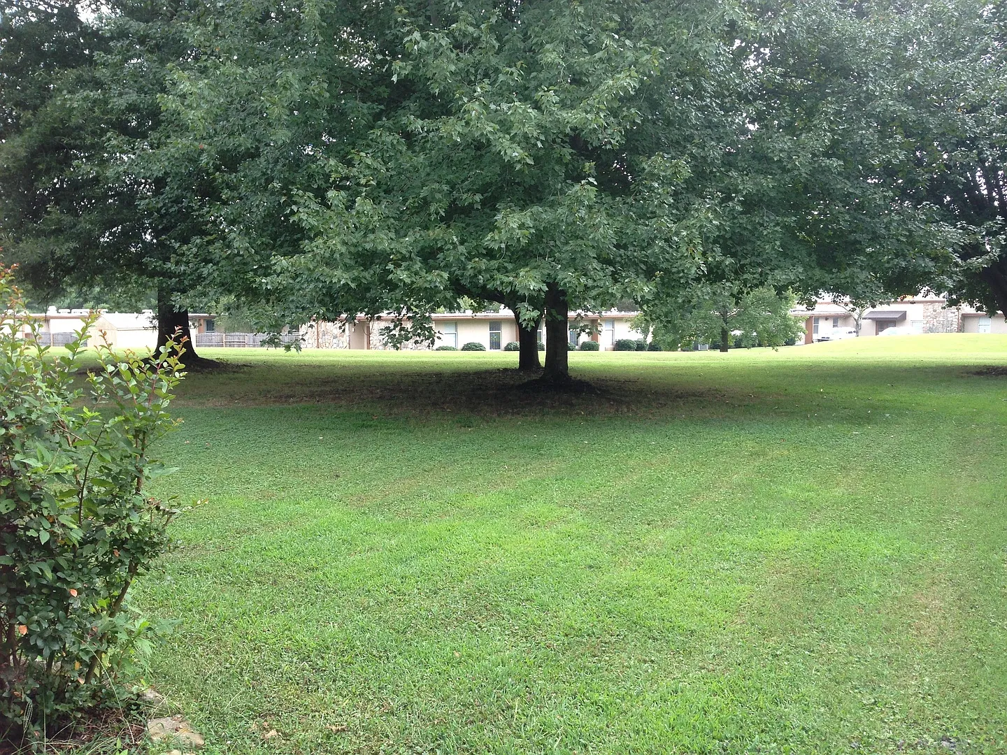 City of Maryville, 3 bedroom, 2 car garage, freshly painted, LVP flooring throughout — Photo 4