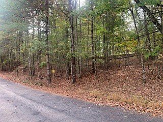 3rd image of 4 Cane Creek Rdg