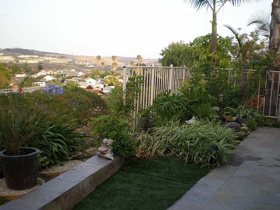 View off patio 