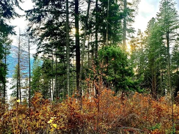 Nna N Raven Pl, Bayview, ID 83803