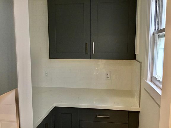 View of the walk in pantry with cabinets and countertop.