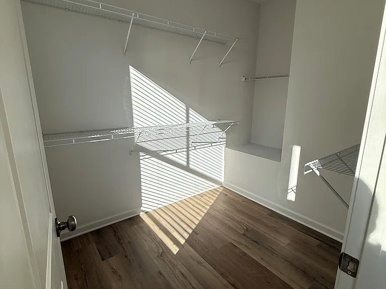 Vast walk-in closet in Master Bedroom