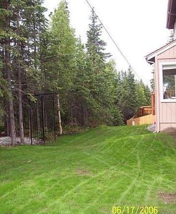 Back Yard Against Forest