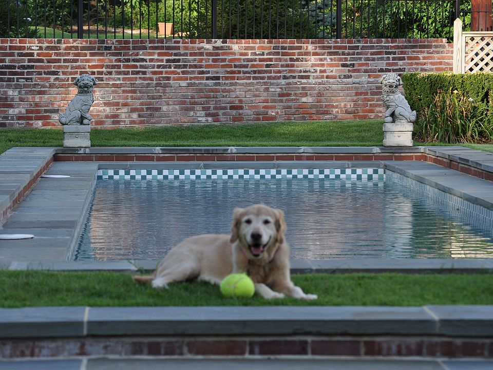 BACKYARD LAP POOL